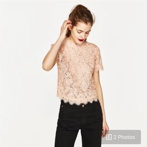 NEW Zara Light Pink Lace Top